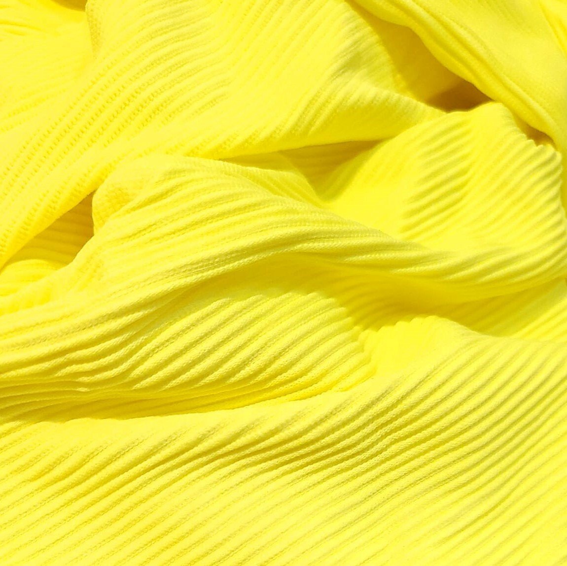 Swim - basic RIB solids {2025}